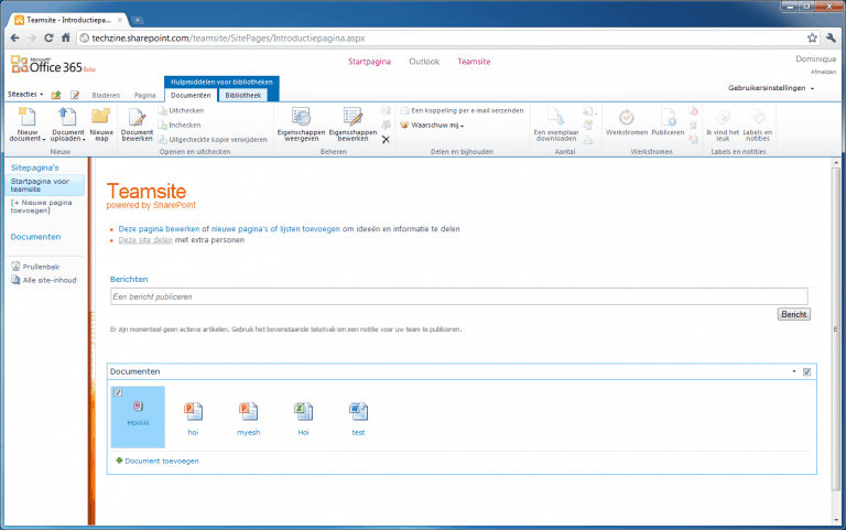 Microsoft Office 365 Preview: Microsoft Office 365